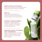 ⁦رول مبرد بخلاصة الصبار لتهدئة البشرة⁩ - الصورة ⁦6⁩